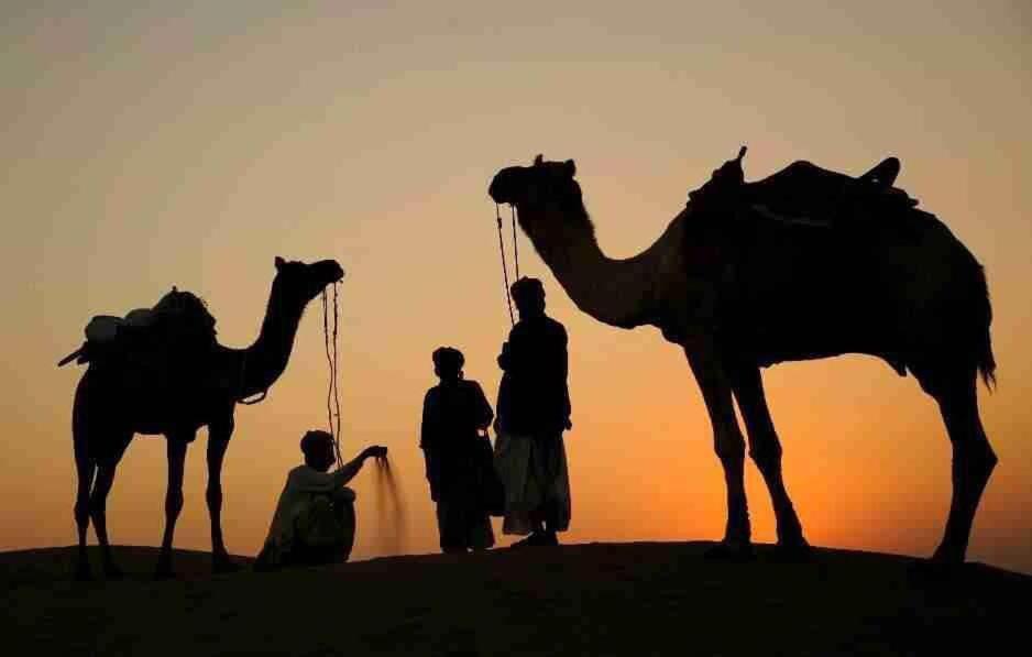 The Mama'S Resort & Camp Jaisalmer Eksteriør billede